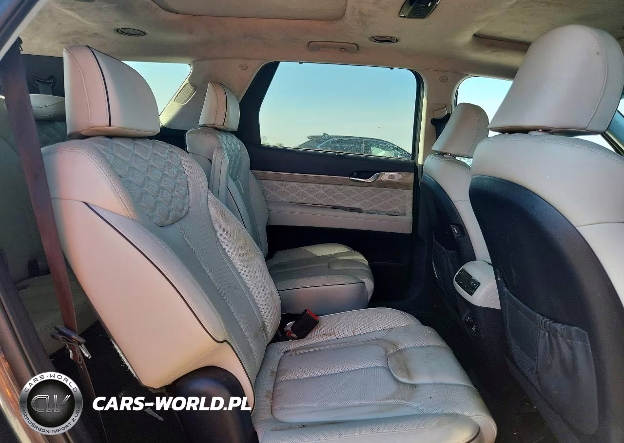 2021 Hyundai Palisade Calligraphy VIN:KM8R7DHE7MU309596 - 11