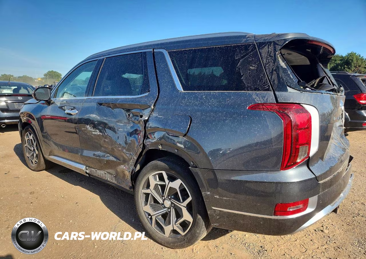 2021 Hyundai Palisade Calligraphy VIN:KM8R7DHE7MU309596 - 2