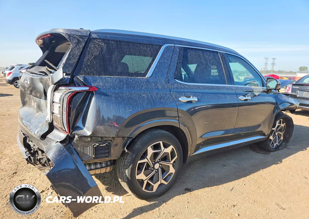 2021 Hyundai Palisade Calligraphy VIN:KM8R7DHE7MU309596 - 3