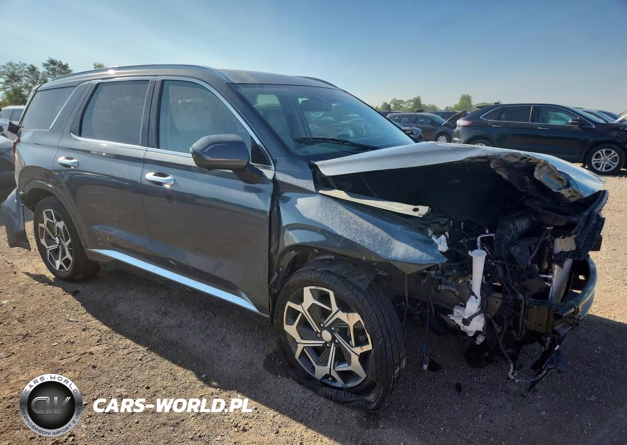 2021 Hyundai Palisade Calligraphy VIN:KM8R7DHE7MU309596 - 4