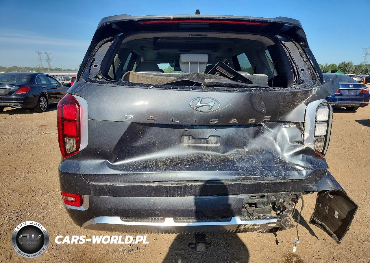 2021 Hyundai Palisade Calligraphy VIN:KM8R7DHE7MU309596 - 6