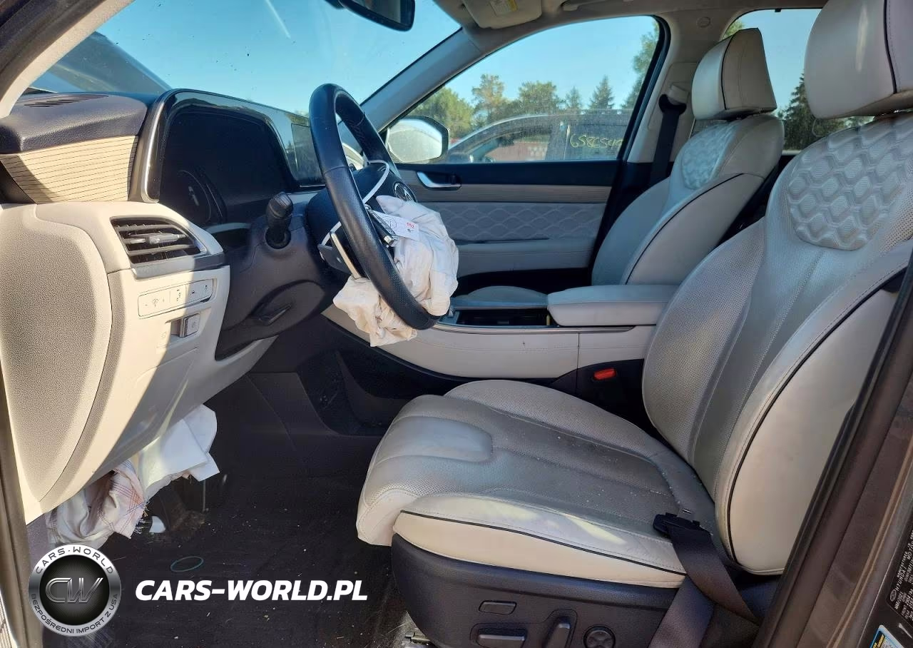 2021 Hyundai Palisade Calligraphy VIN:KM8R7DHE7MU309596 - 7