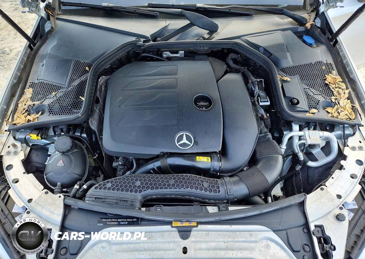 2019 Mercedes-Benz C 300 4Matic VIN:WDDWK8EB4KF775937 - 11