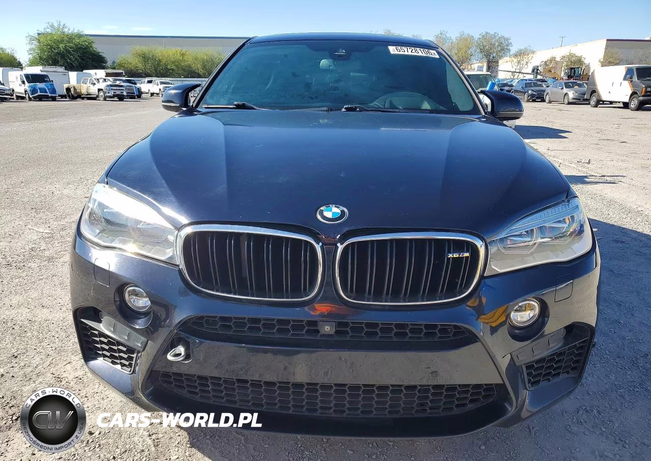 2017 BMW X6 M VIN:5YMKW8C3XH0U72379 - 5