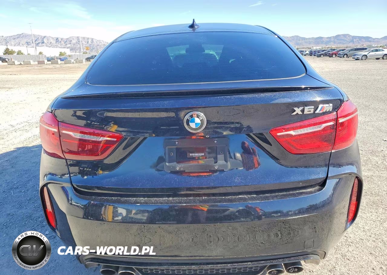 2017 BMW X6 M VIN:5YMKW8C3XH0U72379 - 6
