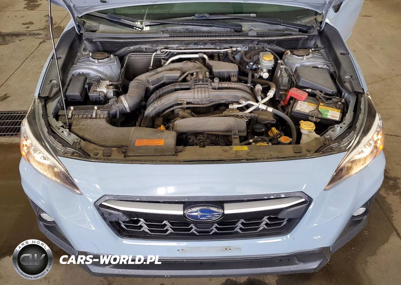 2019 Subaru Crosstrek Premium VIN:JF2GTACC0K8249177 - 12