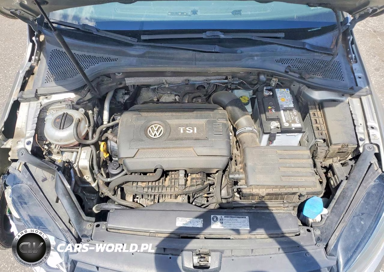 2016 Volkswagen Golf S-Se VIN:3VW217AU0GM023489 - 12