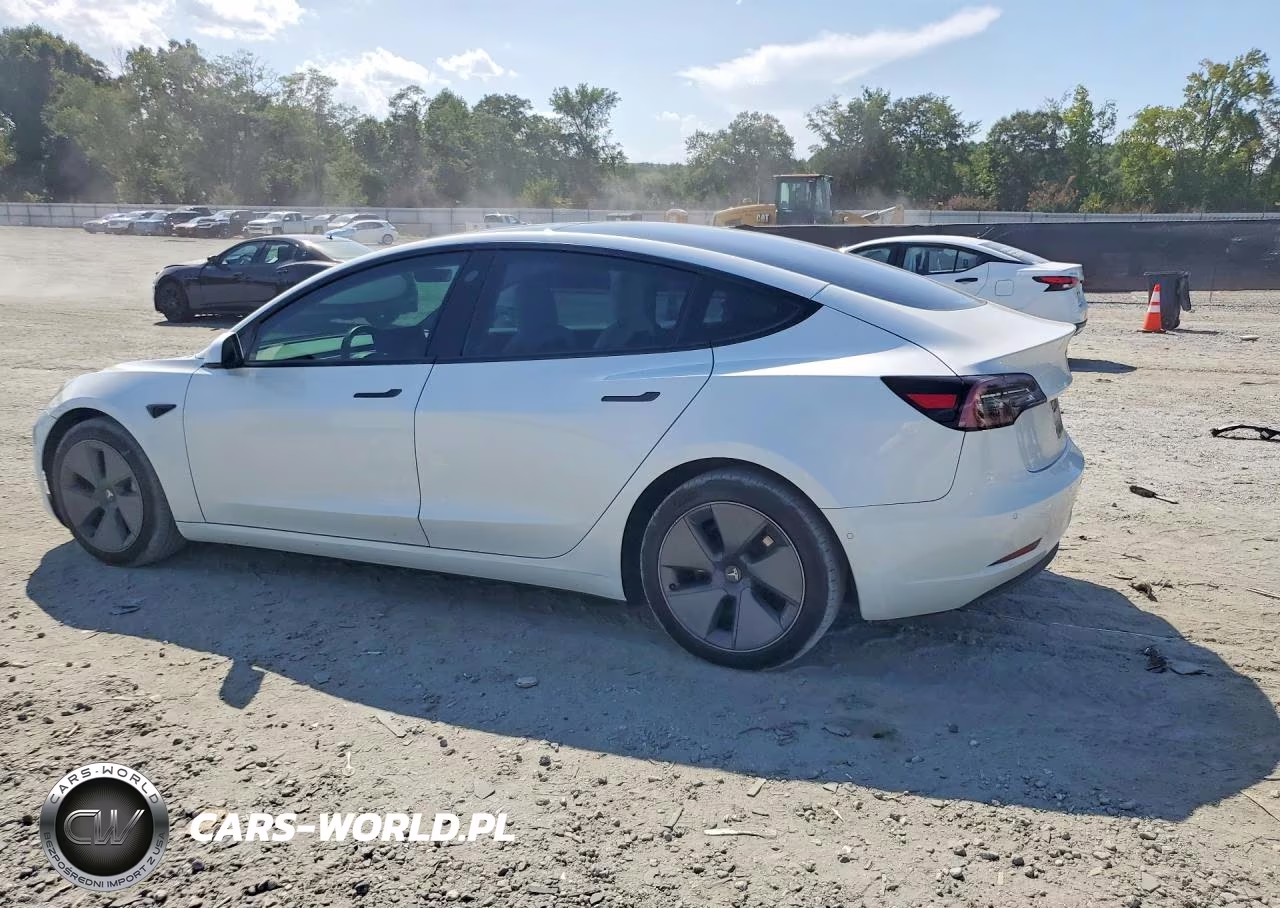 2021 Tesla Model 3 VIN:5YJ3E1EA1MF920748 - 2