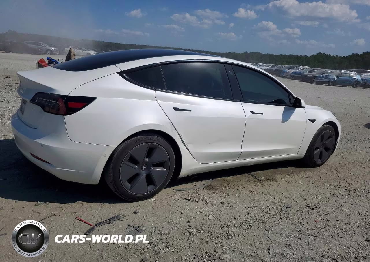 2021 Tesla Model 3 VIN:5YJ3E1EA1MF920748 - 3