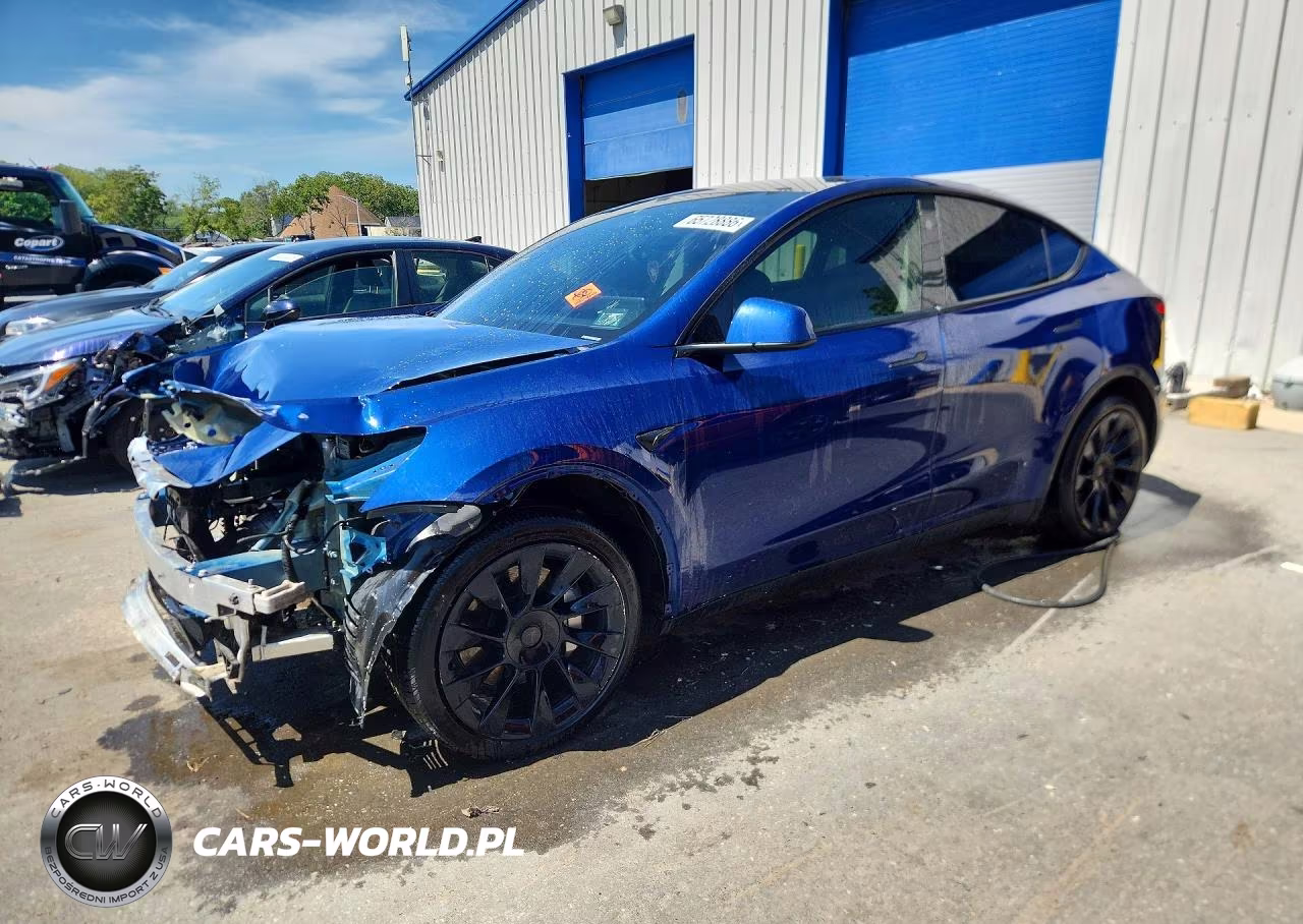 2024 Tesla Model Y VIN:7SAYGDEE8RA237151 - 1