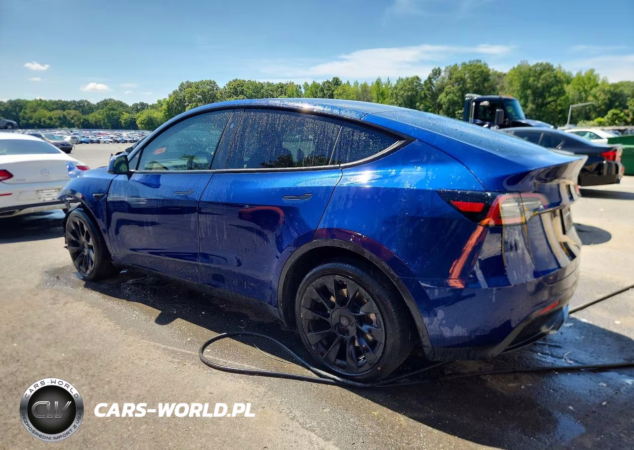 2024 Tesla Model Y VIN:7SAYGDEE8RA237151 - 2
