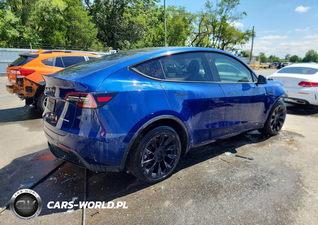 2024 Tesla Model Y VIN:7SAYGDEE8RA237151 - 3