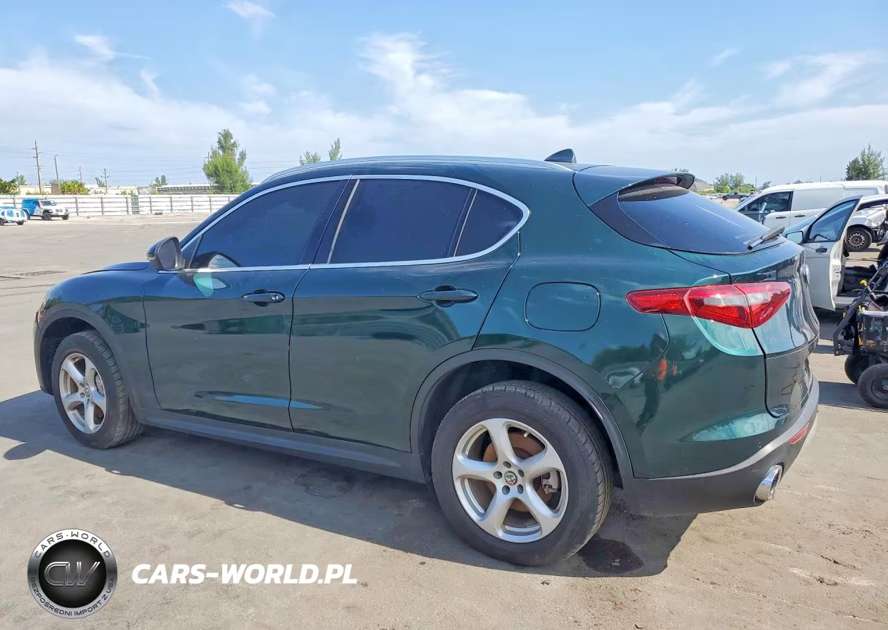 2019 Alfa Romeo Stelvio VIN:ZASPAJAN6K7C41557 - 2