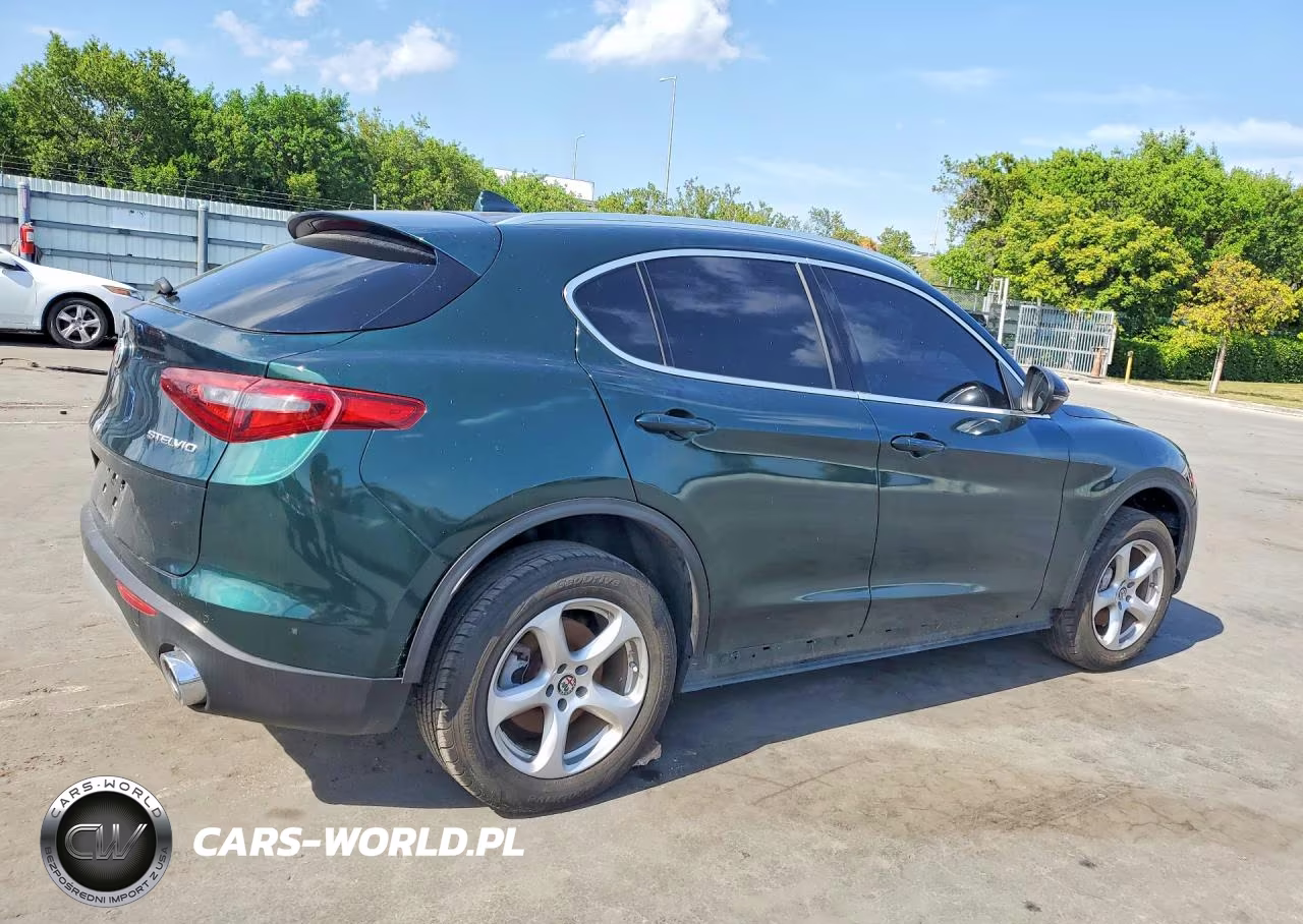 2019 Alfa Romeo Stelvio VIN:ZASPAJAN6K7C41557 - 3