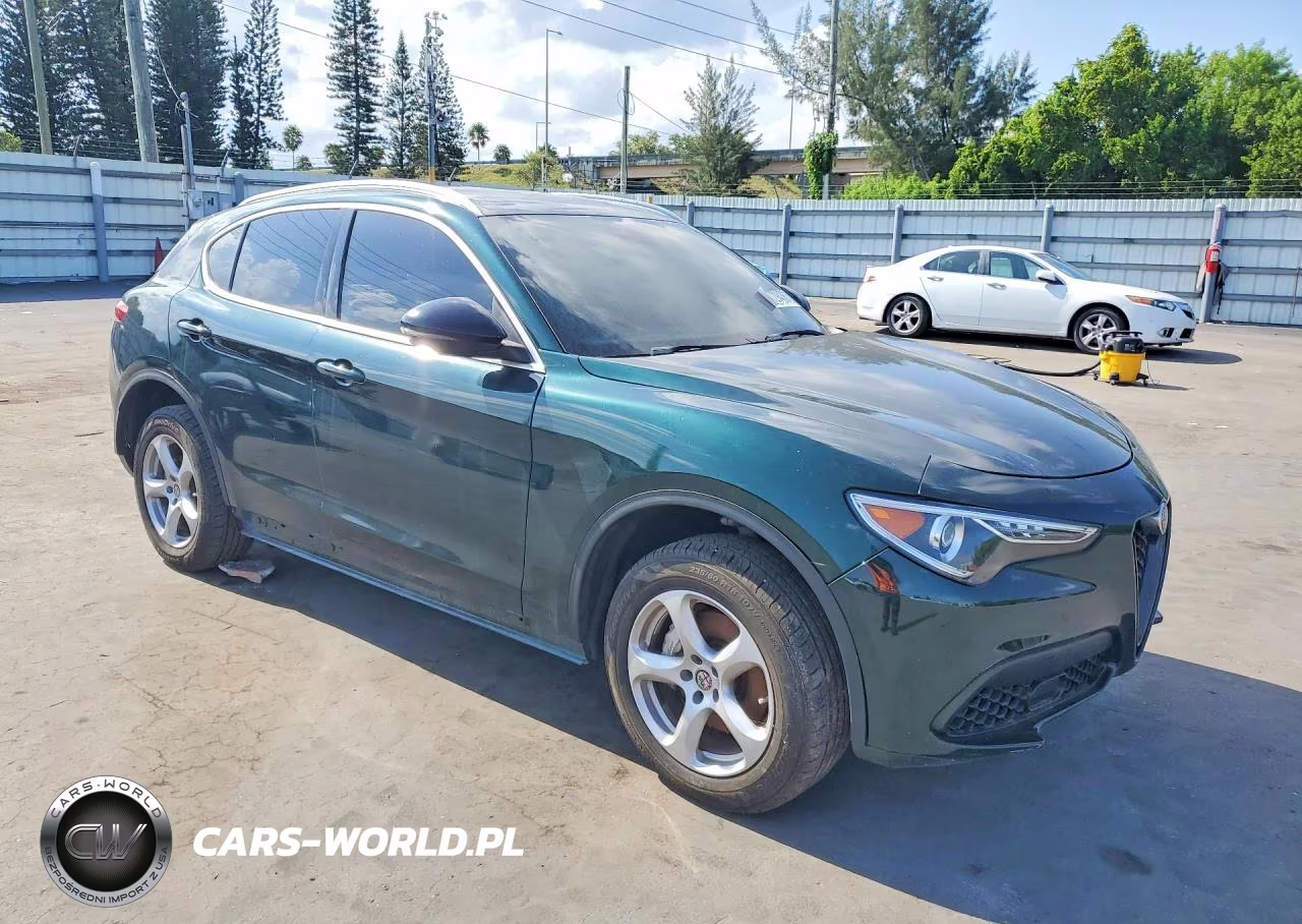 2019 Alfa Romeo Stelvio VIN:ZASPAJAN6K7C41557 - 4