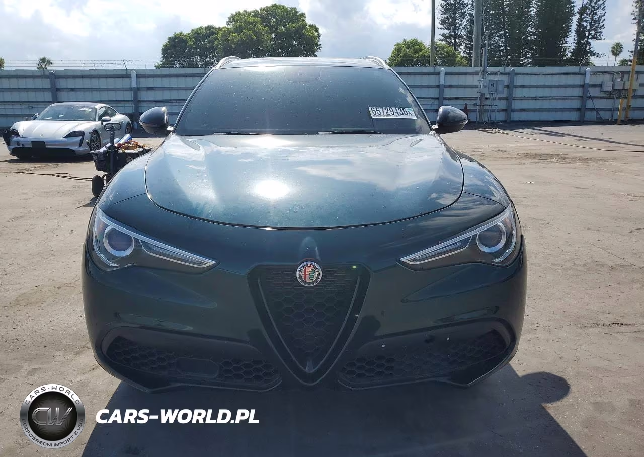 2019 Alfa Romeo Stelvio VIN:ZASPAJAN6K7C41557 - 5