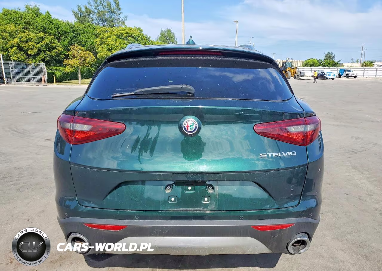 2019 Alfa Romeo Stelvio VIN:ZASPAJAN6K7C41557 - 6