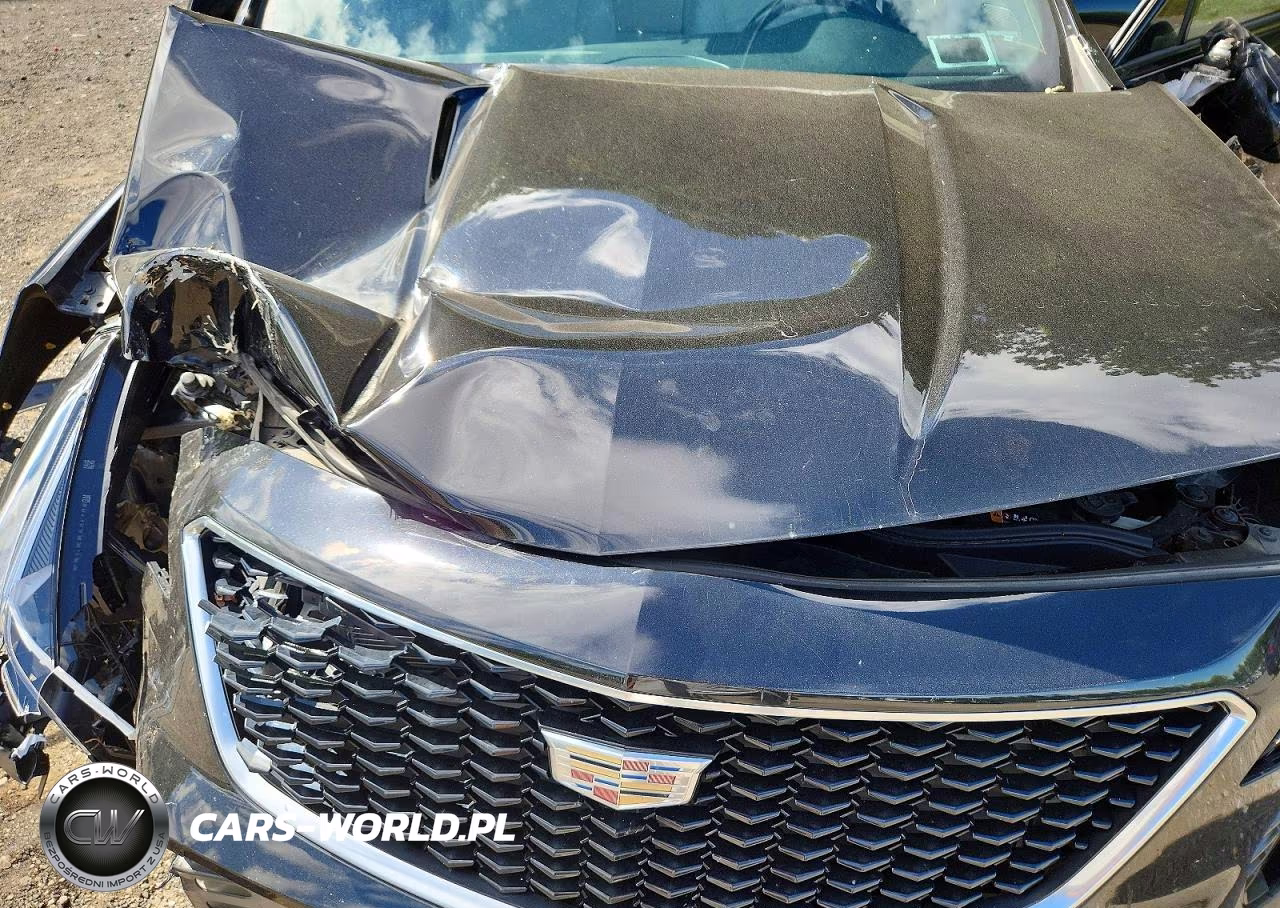 2019 Cadillac Xt4 Sport VIN:1GYFZFR45KF115499 - 12