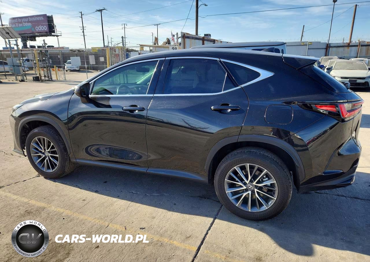 2024 Lexus Nx 250 Premium VIN:2T2GDCAZ9RC008744 - 2