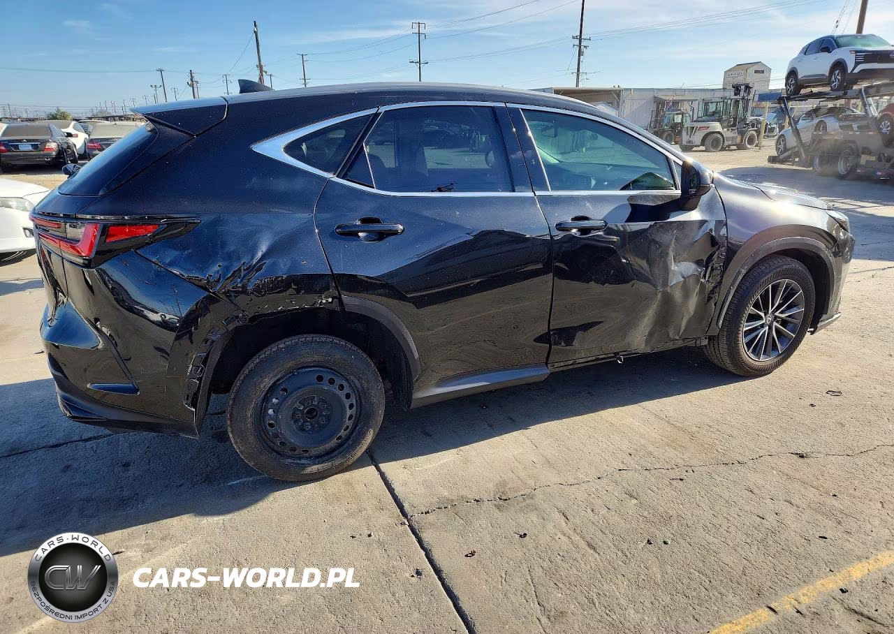 2024 Lexus Nx 250 Premium VIN:2T2GDCAZ9RC008744 - 3