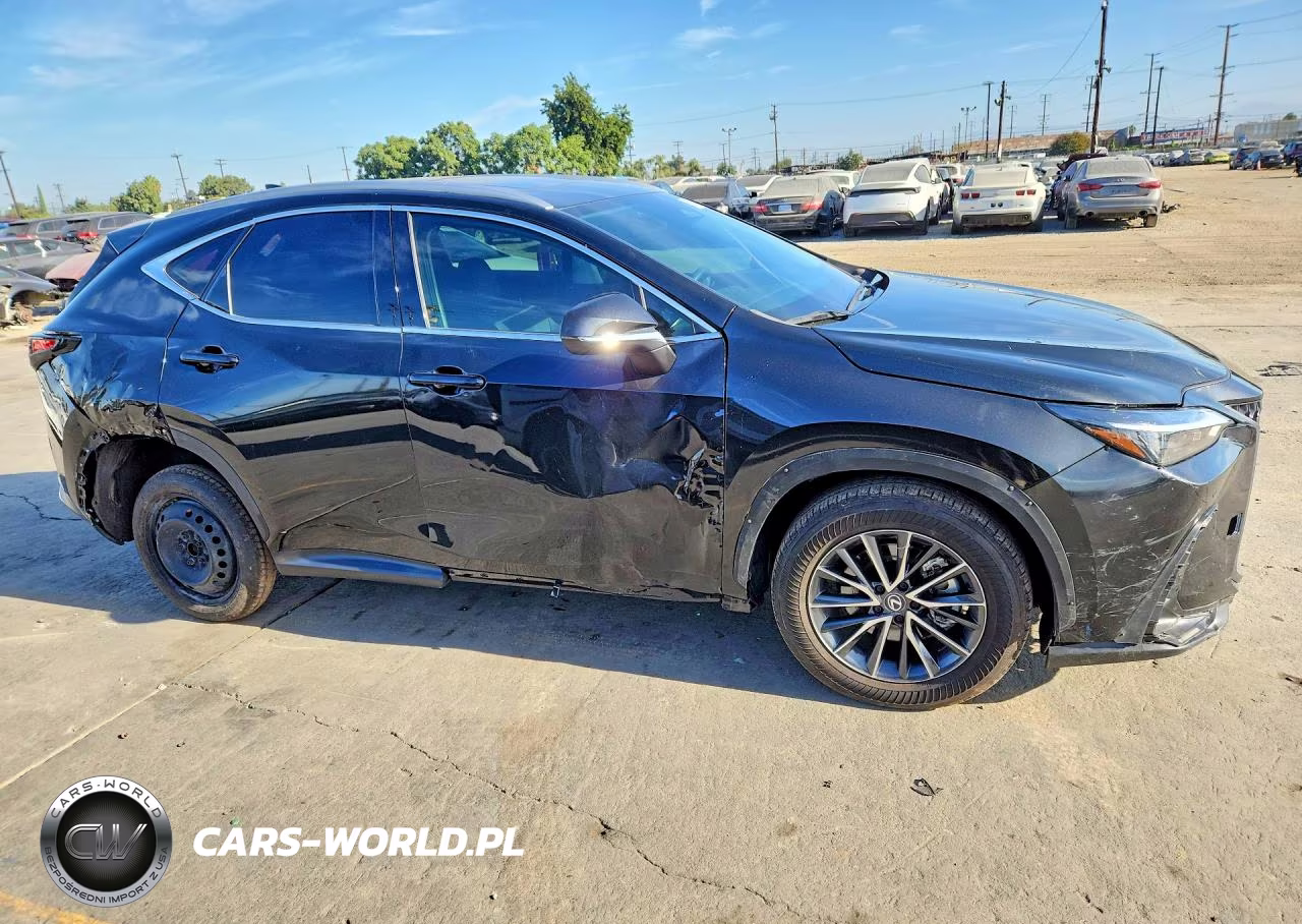 2024 Lexus Nx 250 Premium VIN:2T2GDCAZ9RC008744 - 4