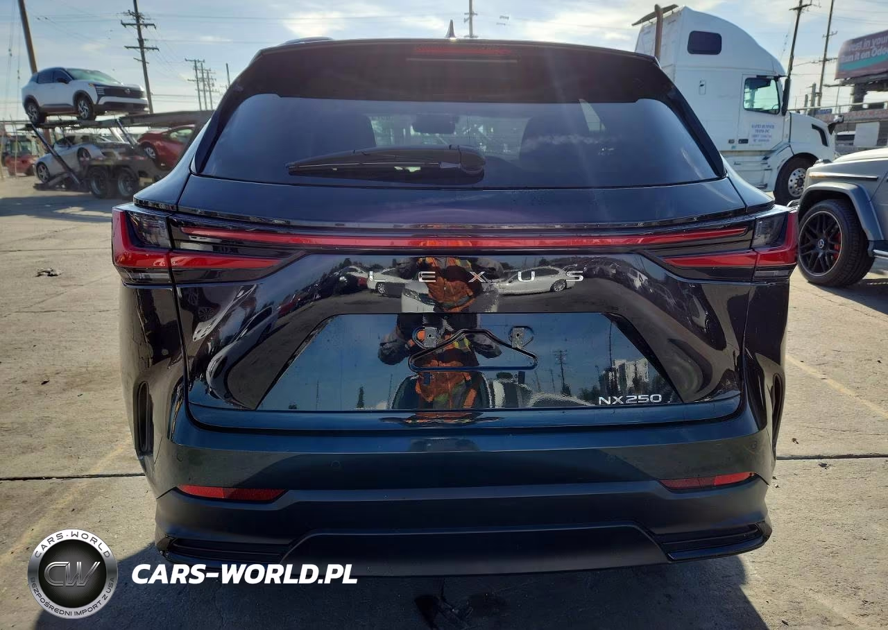 2024 Lexus Nx 250 Premium VIN:2T2GDCAZ9RC008744 - 6