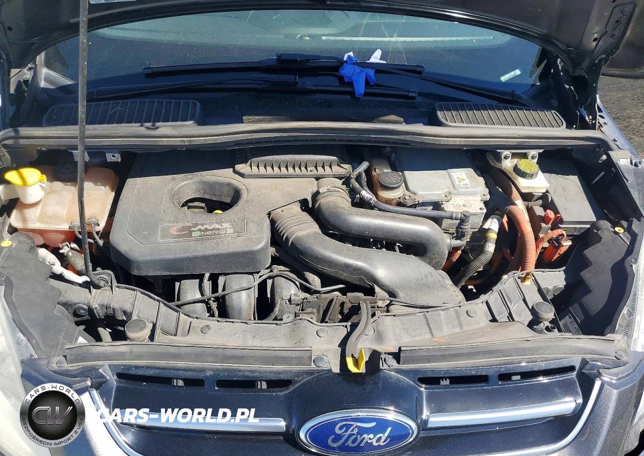 2015 Ford C-Max Premium Sel VIN:1FADP5CU9FL101589 - 11