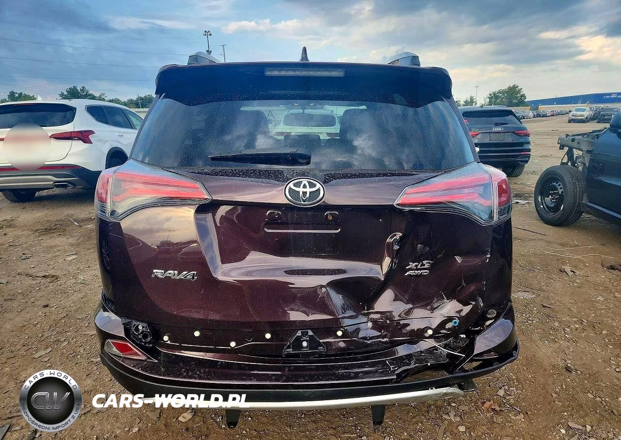 2016 Toyota Rav4 Xle VIN:2T3RFREV7GW453892 - 6