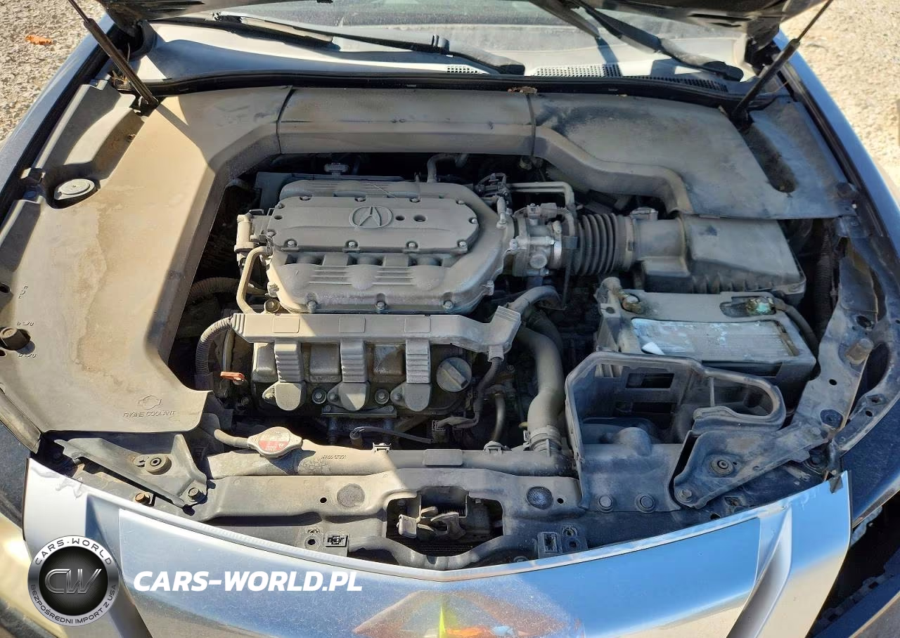 2009 Acura Tl VIN:19UUA86599A008462 - 11