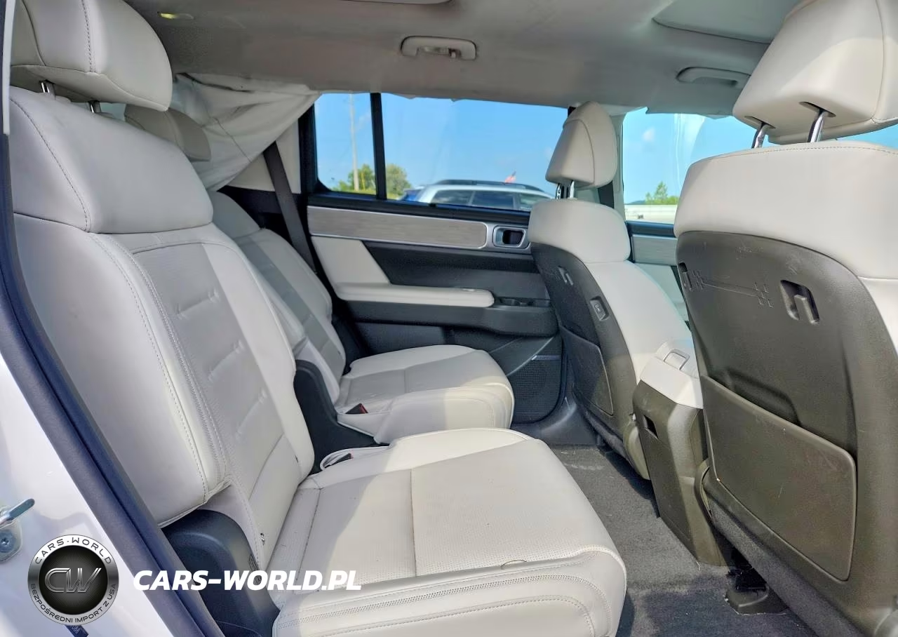 2025 Hyundai Santa Fe Calligraphy VIN:5NMP5DG18SH069088 - 11