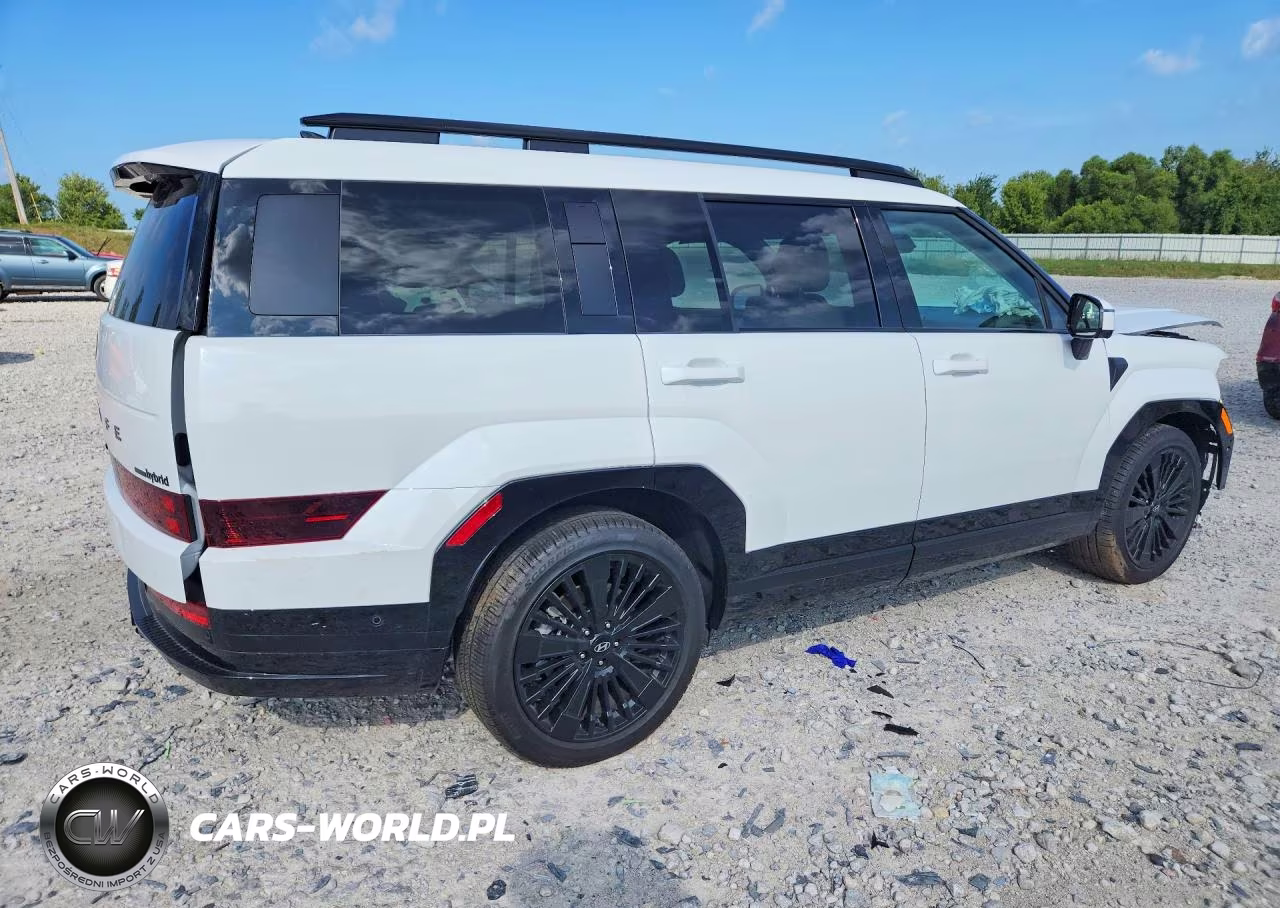 2025 Hyundai Santa Fe Calligraphy VIN:5NMP5DG18SH069088 - 3