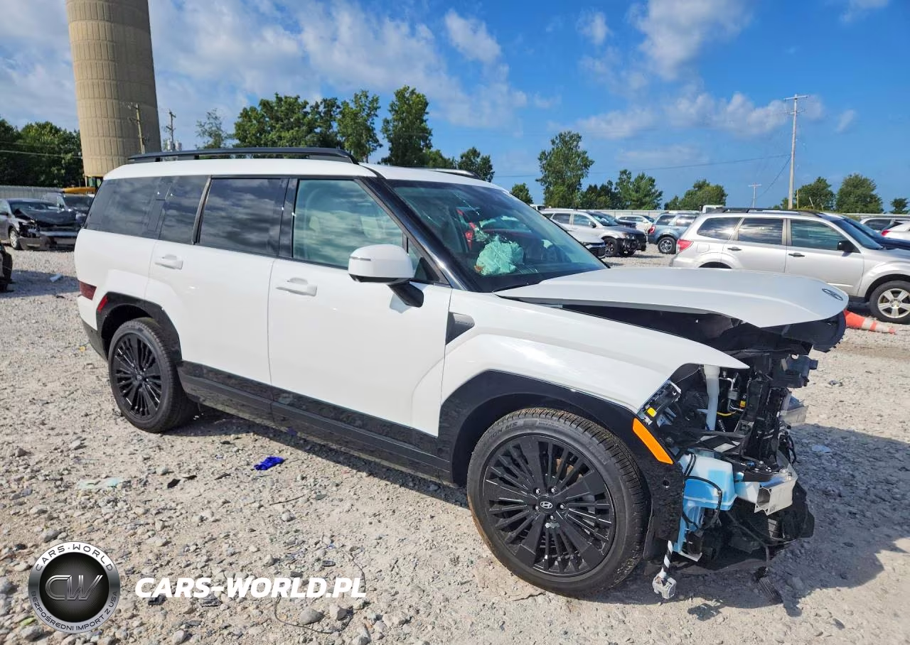 2025 Hyundai Santa Fe Calligraphy VIN:5NMP5DG18SH069088 - 4
