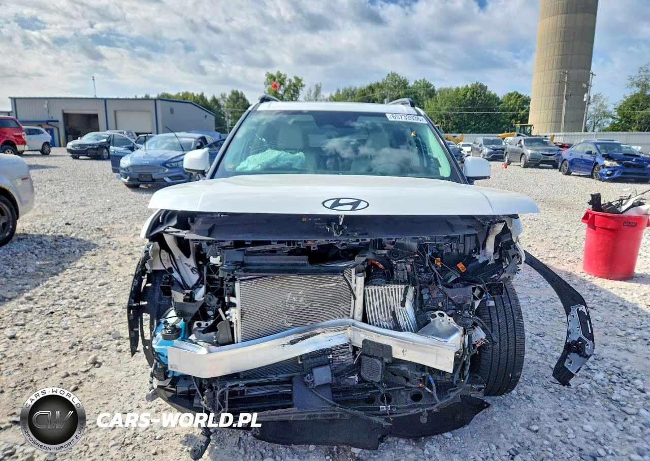 2025 Hyundai Santa Fe Calligraphy VIN:5NMP5DG18SH069088 - 5