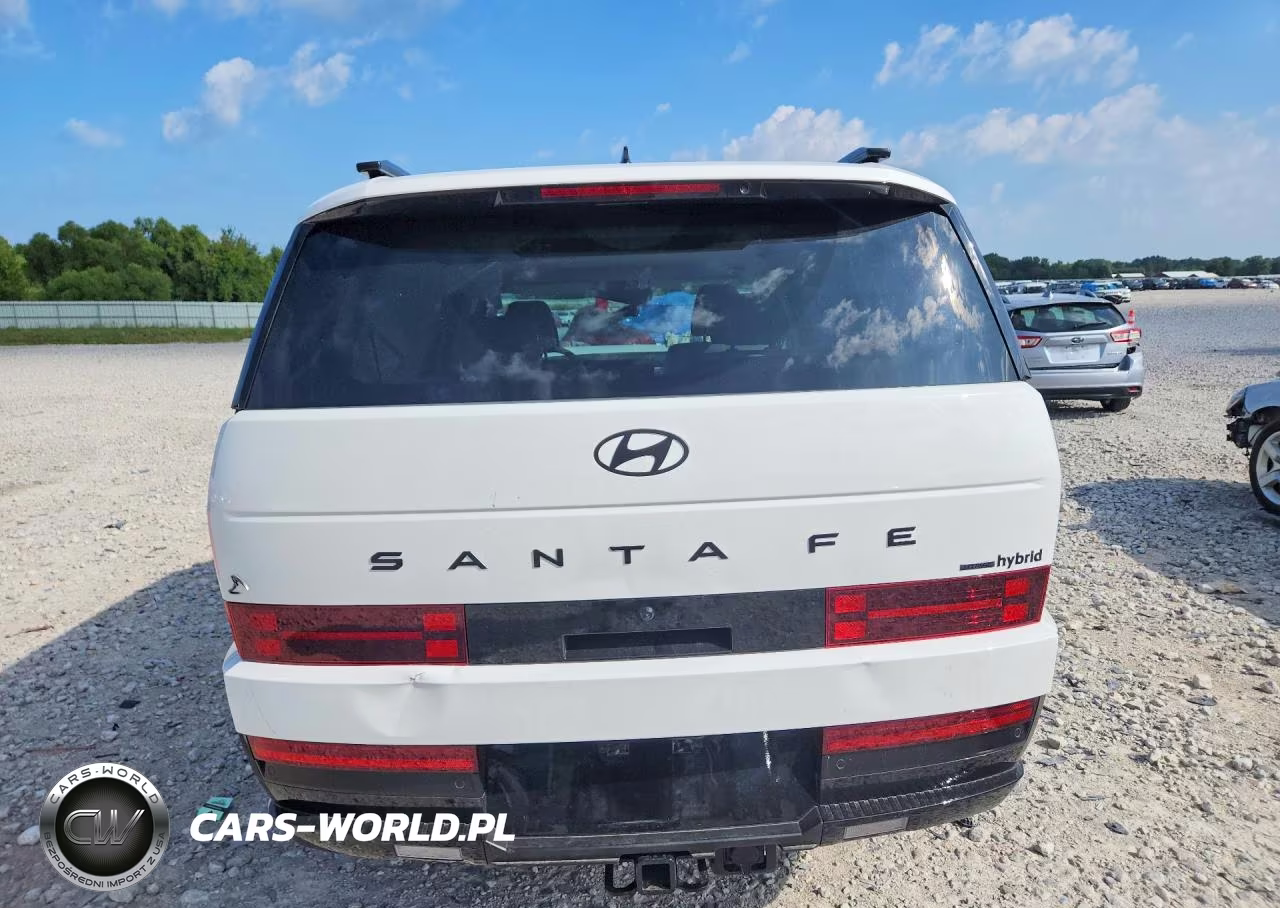 2025 Hyundai Santa Fe Calligraphy VIN:5NMP5DG18SH069088 - 6