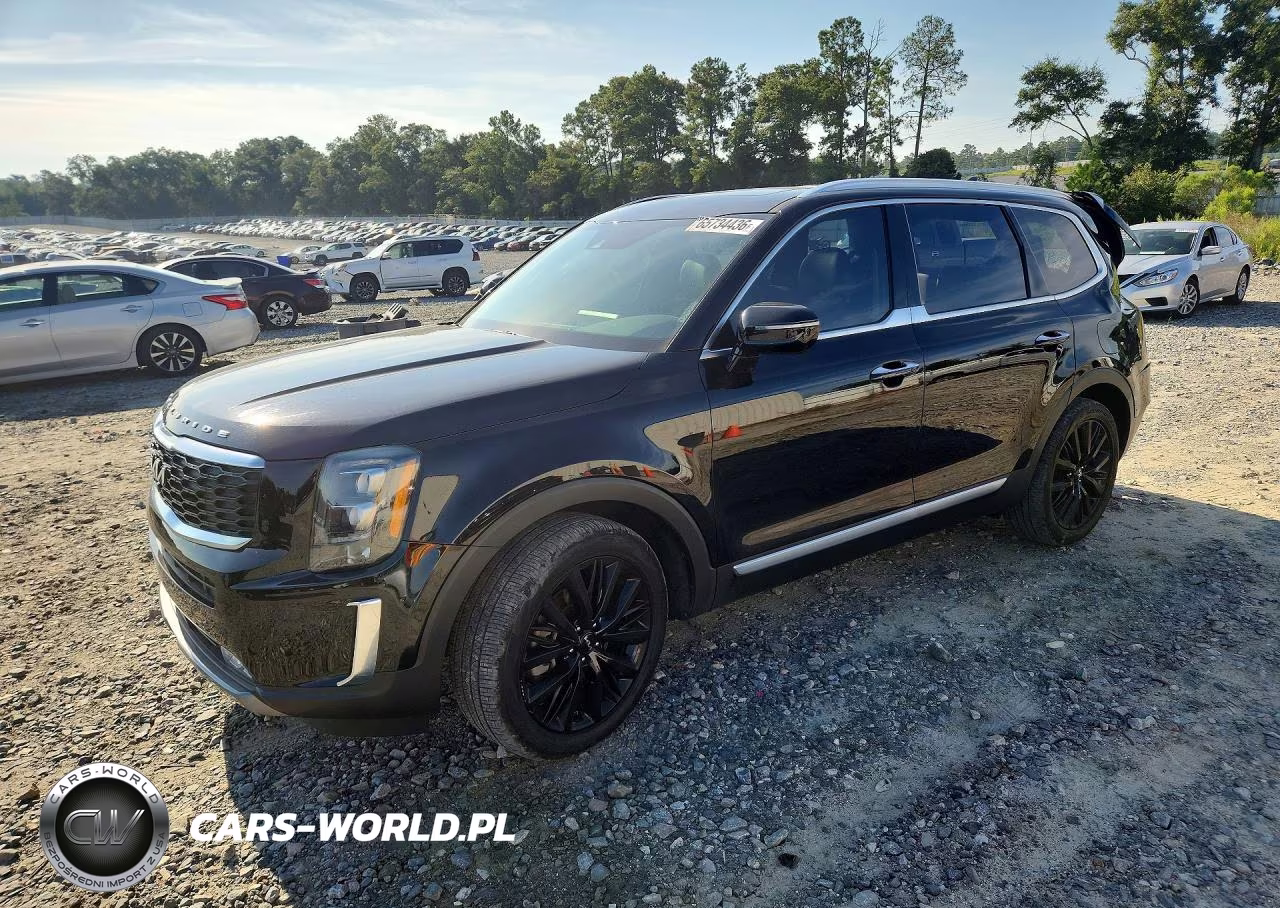 2022 Kia Telluride Sx VIN:5XYP54HC6NG312377 - 1