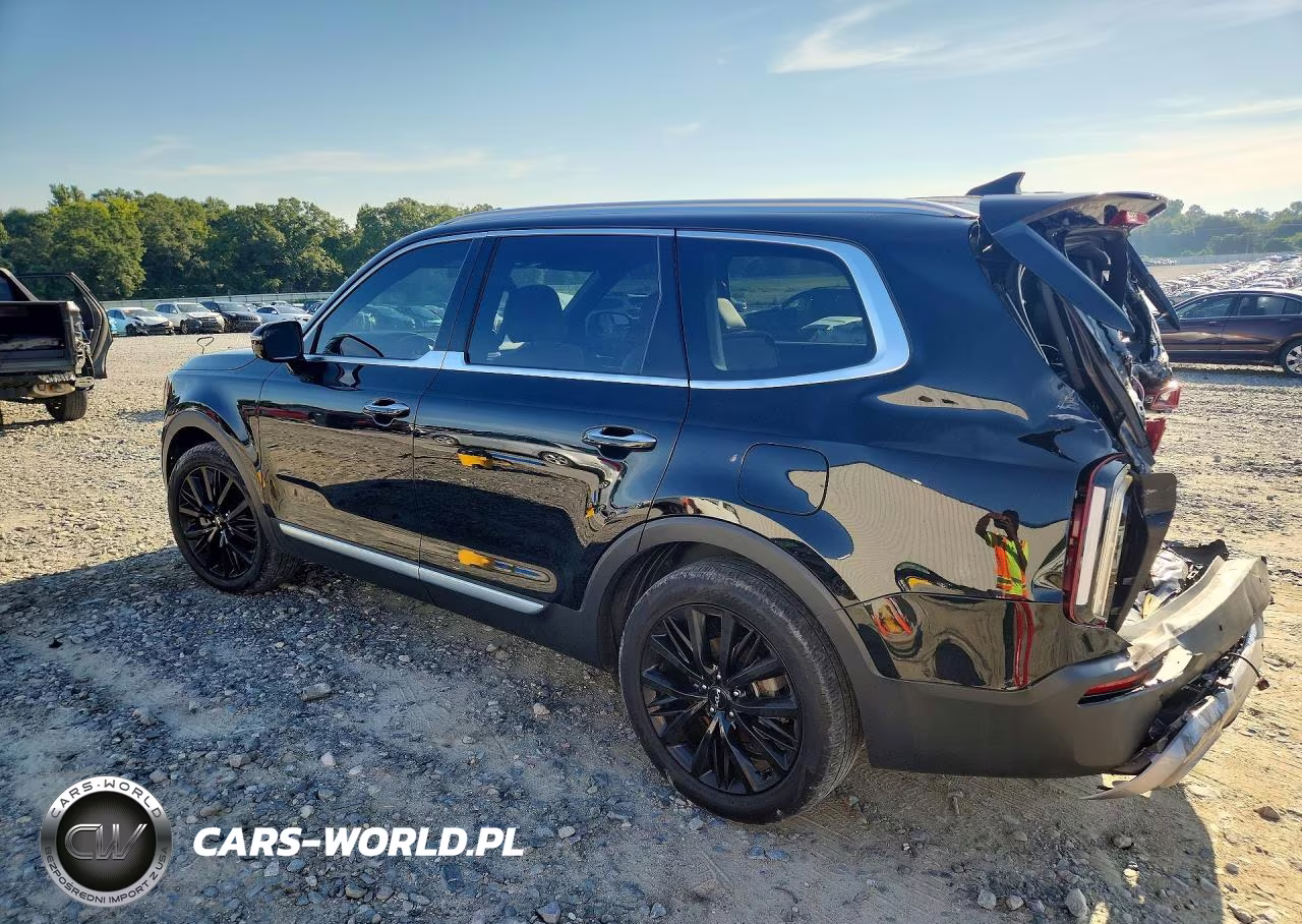 2022 Kia Telluride Sx VIN:5XYP54HC6NG312377 - 2