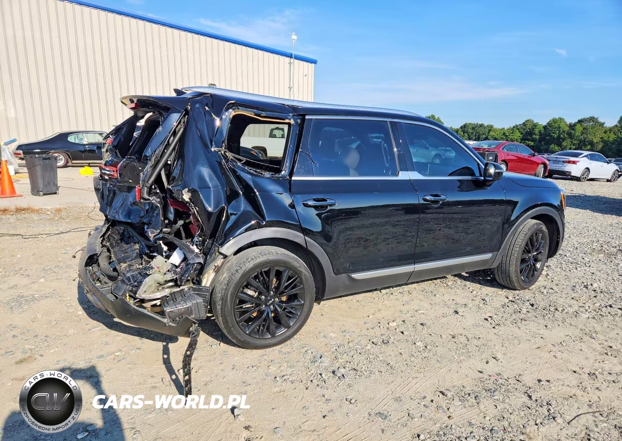 2022 Kia Telluride Sx VIN:5XYP54HC6NG312377 - 3