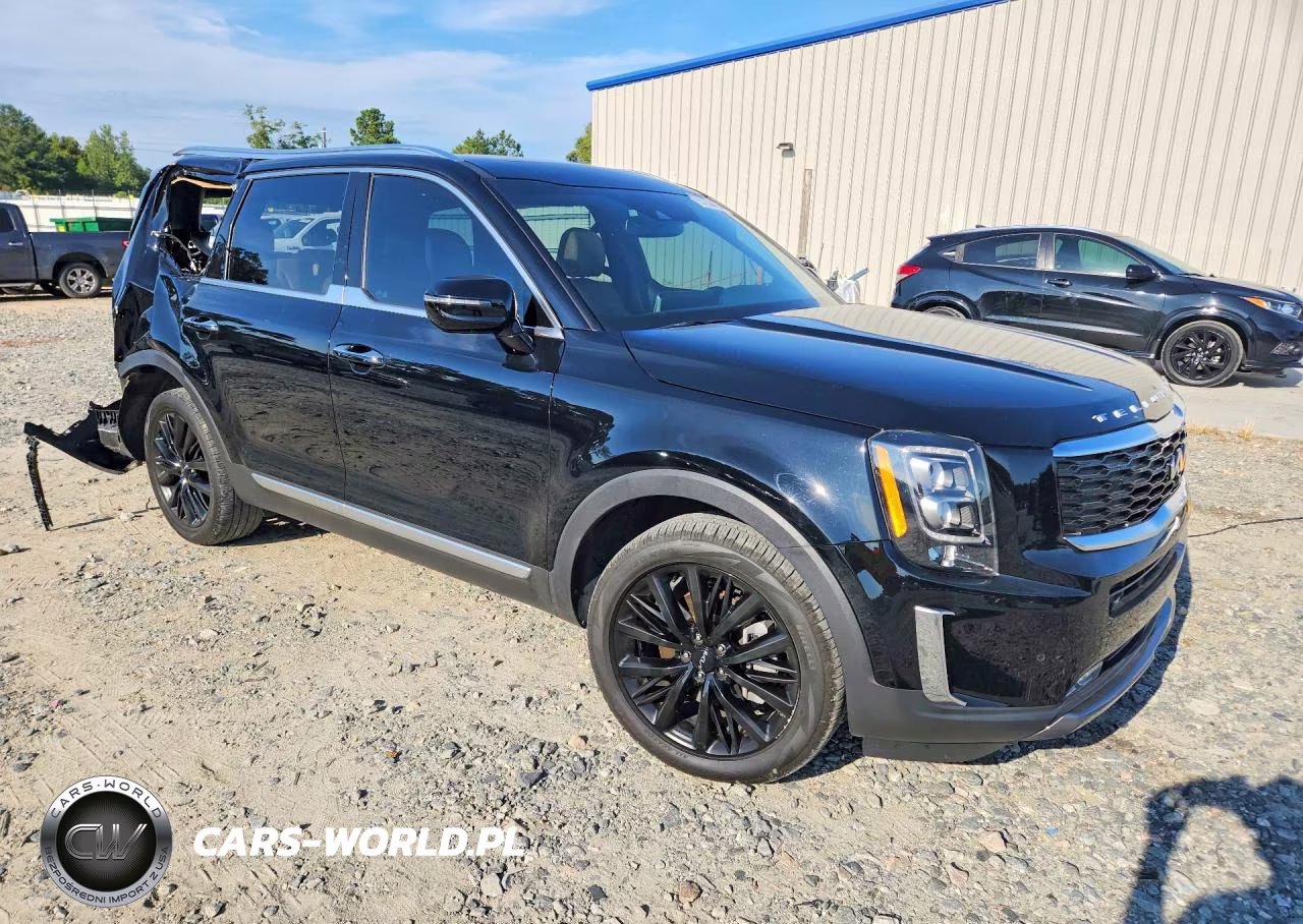 2022 Kia Telluride Sx VIN:5XYP54HC6NG312377 - 4