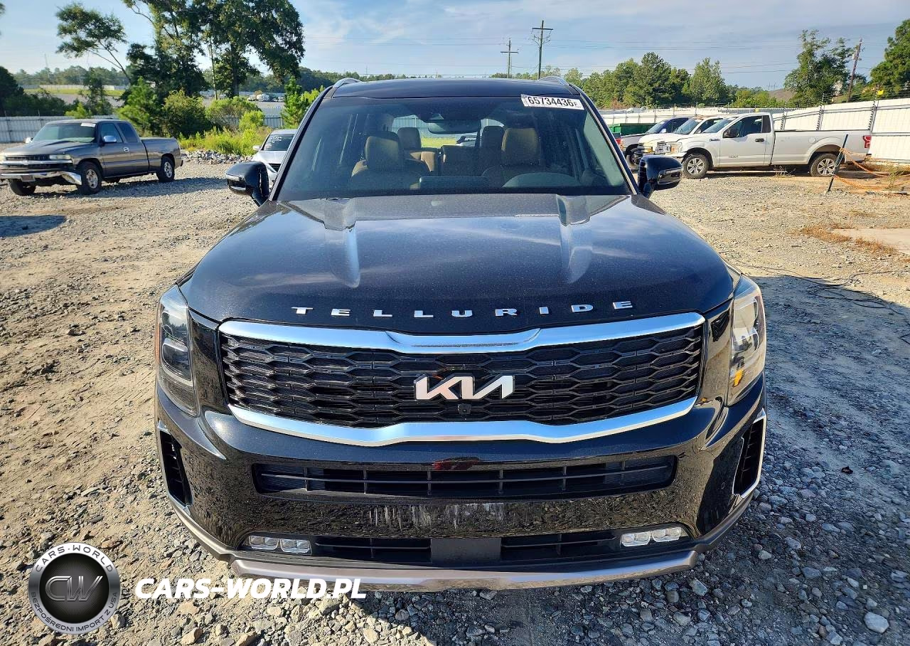 2022 Kia Telluride Sx VIN:5XYP54HC6NG312377 - 5