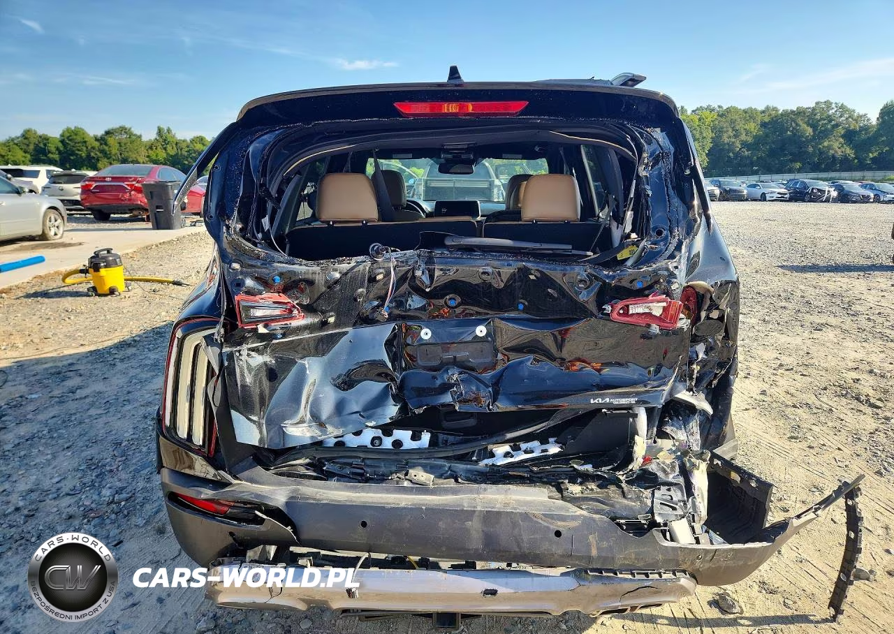 2022 Kia Telluride Sx VIN:5XYP54HC6NG312377 - 6