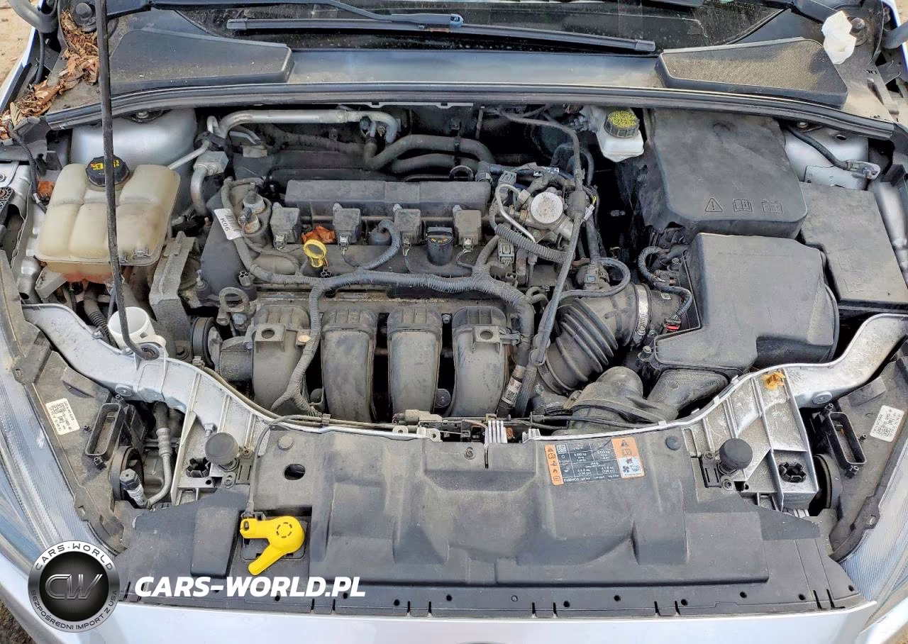 2018 Ford Focus Sel VIN:1FADP3H23JL242484 - 11
