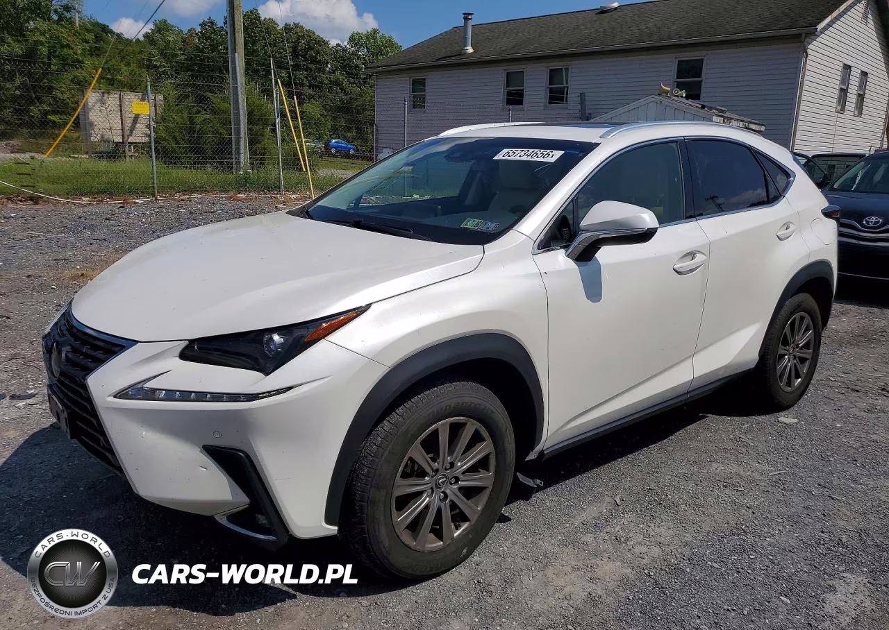 2019 Lexus Nx 300 Base VIN:JTJBARBZ8K2185361 - 1