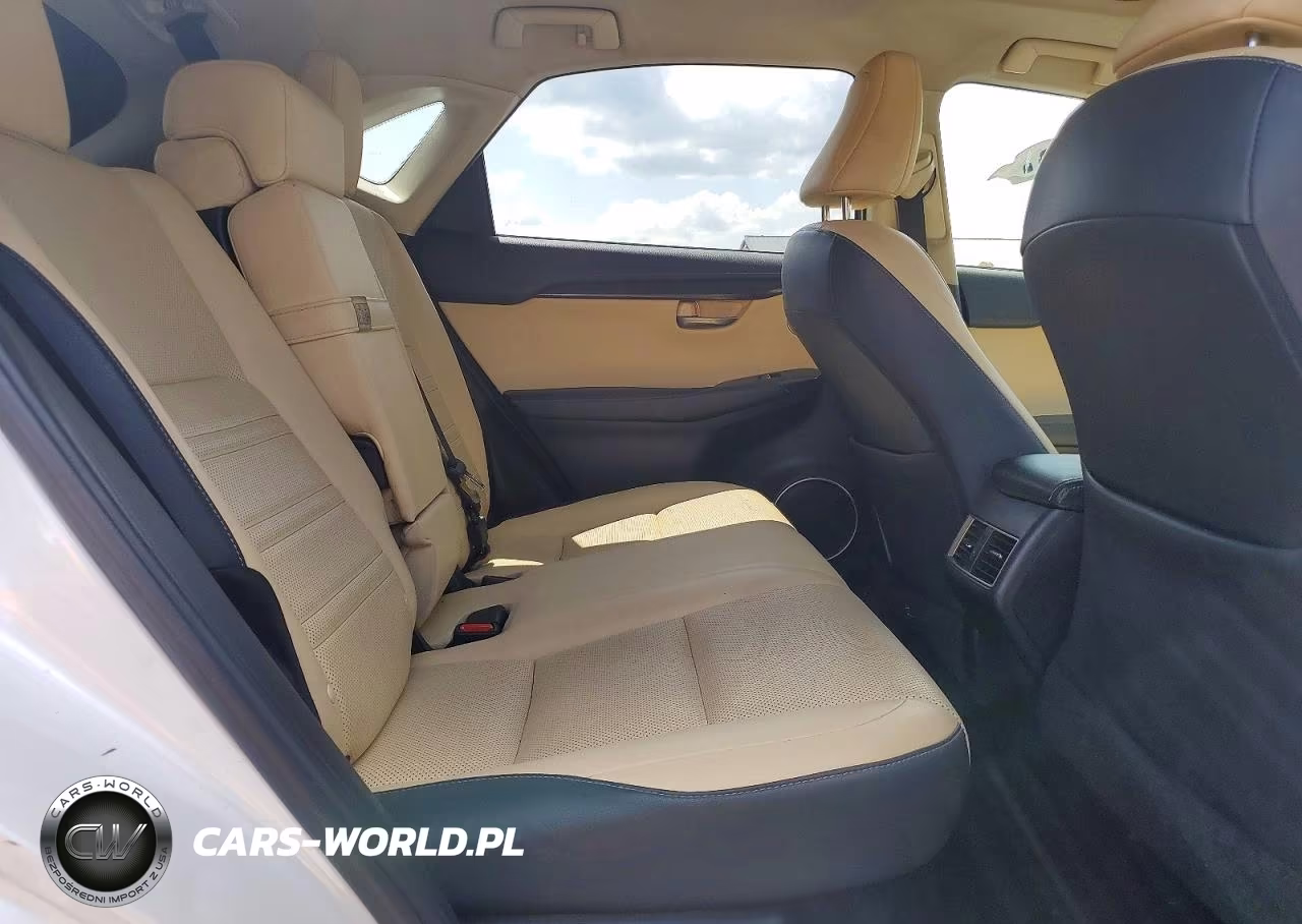 2019 Lexus Nx 300 Base VIN:JTJBARBZ8K2185361 - 11