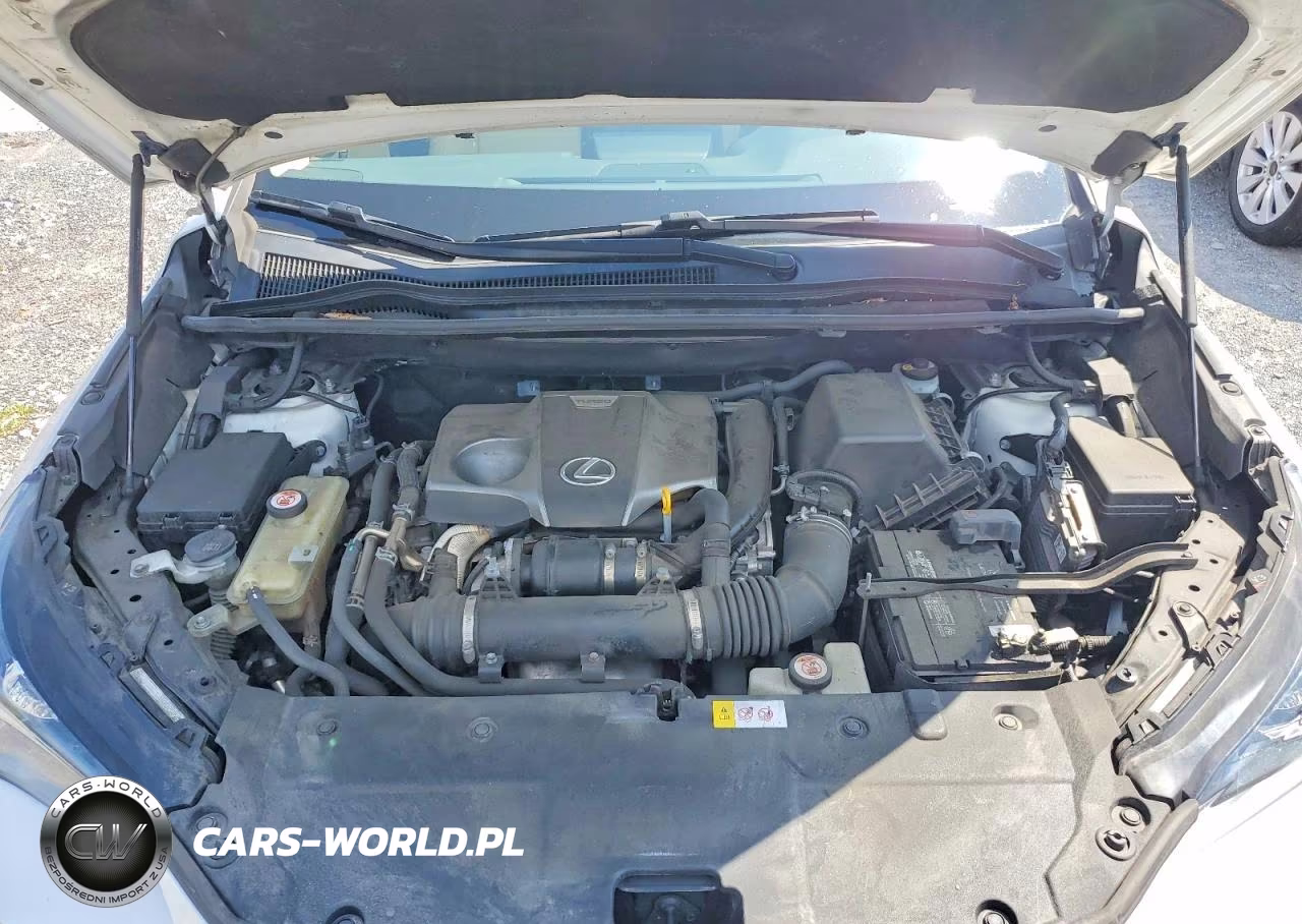 2019 Lexus Nx 300 Base VIN:JTJBARBZ8K2185361 - 12
