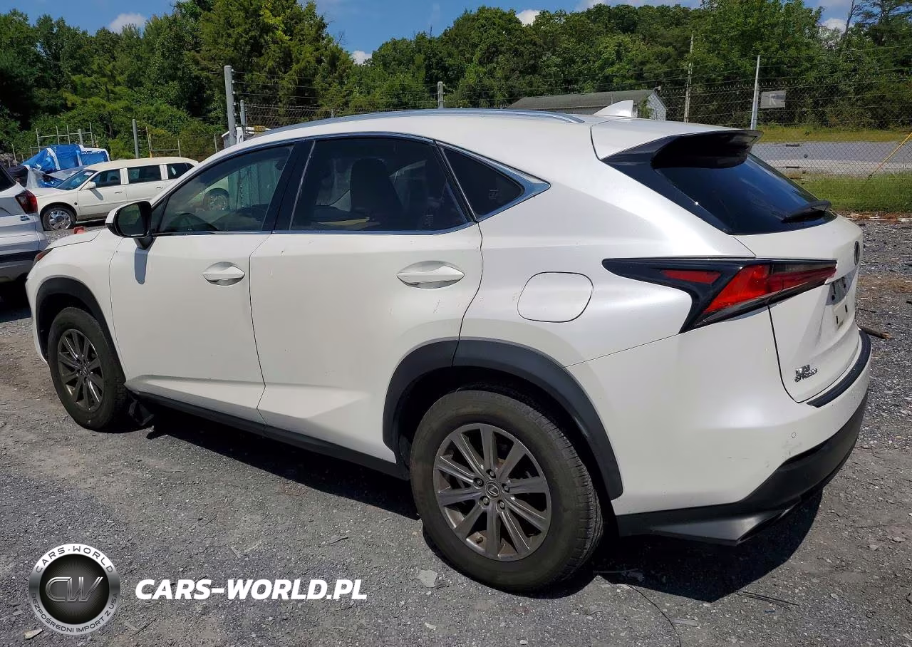 2019 Lexus Nx 300 Base VIN:JTJBARBZ8K2185361 - 2