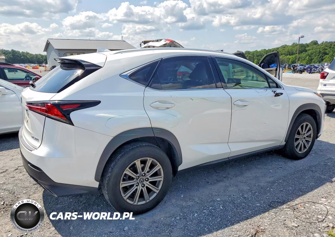 2019 Lexus Nx 300 Base VIN:JTJBARBZ8K2185361 - 3