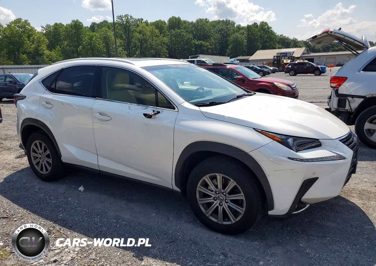 2019 Lexus Nx 300 Base VIN:JTJBARBZ8K2185361 - 4