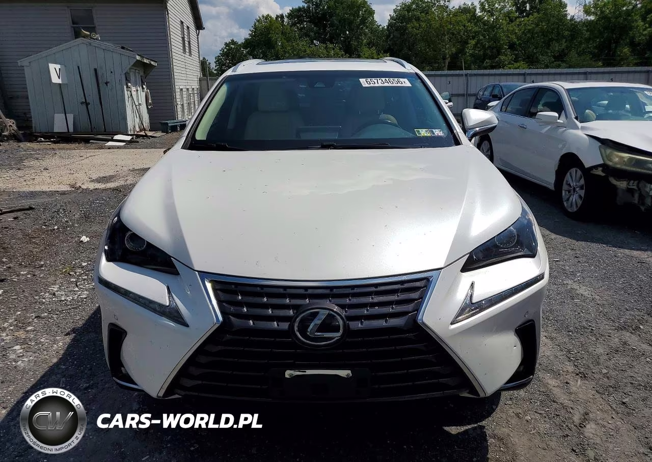 2019 Lexus Nx 300 Base VIN:JTJBARBZ8K2185361 - 5