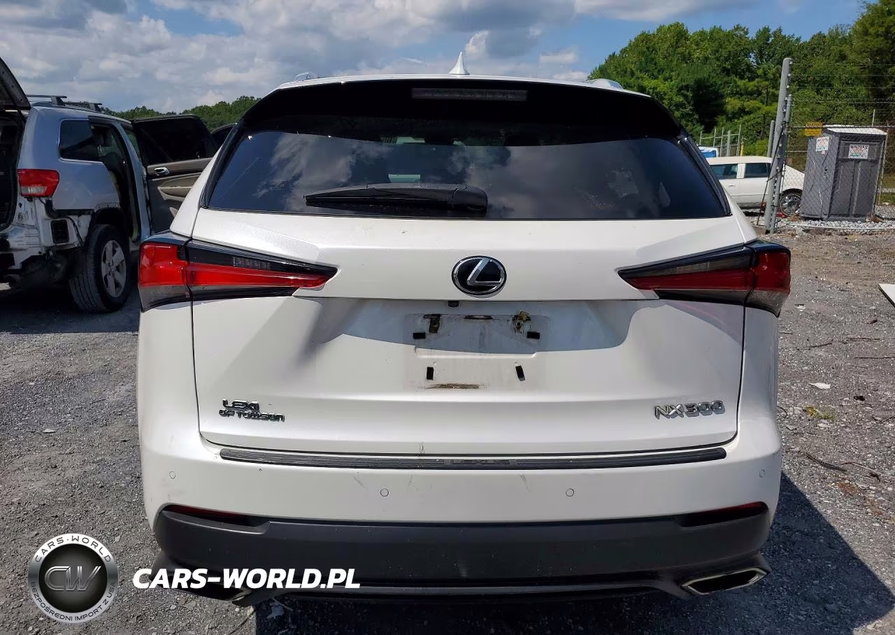 2019 Lexus Nx 300 Base VIN:JTJBARBZ8K2185361 - 6