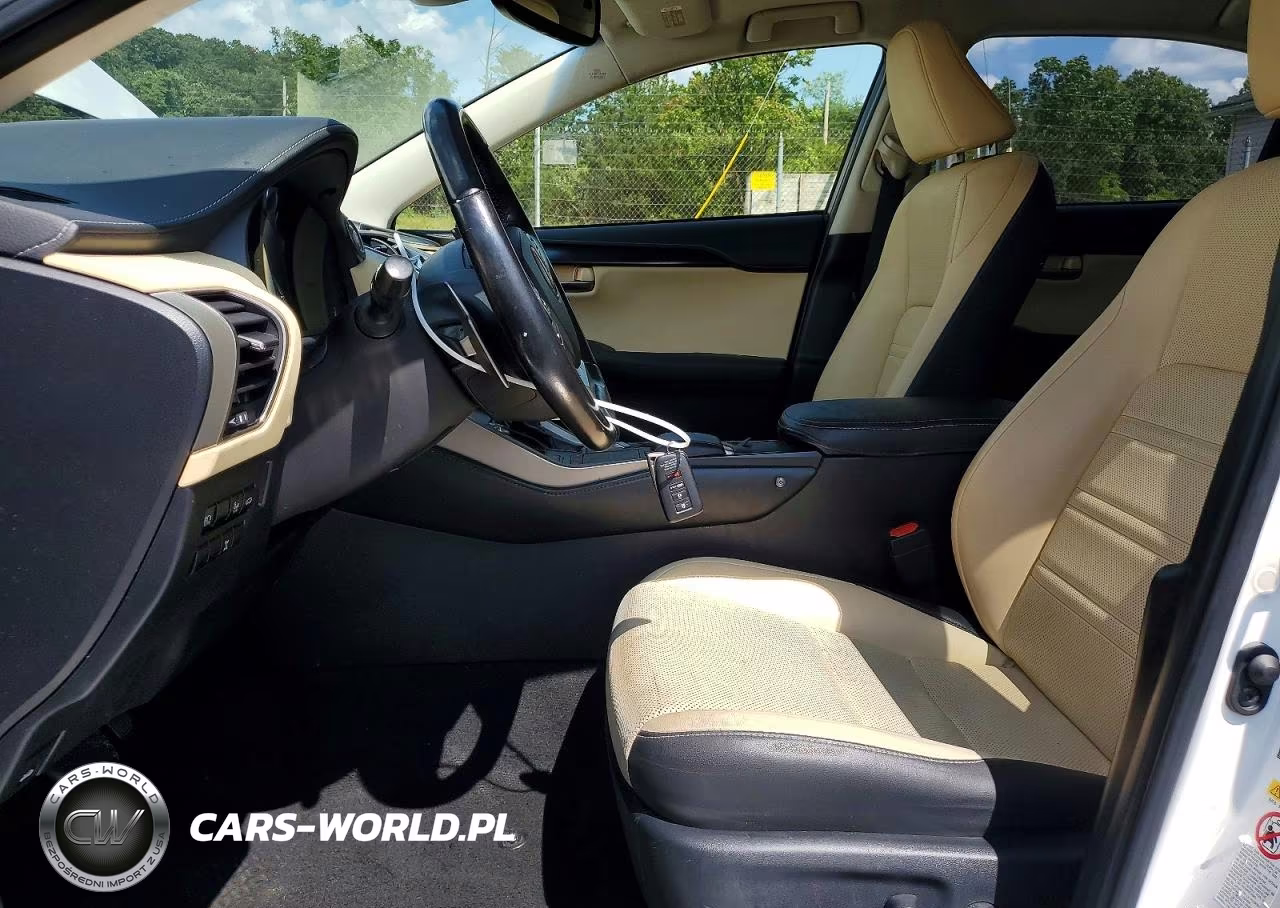 2019 Lexus Nx 300 Base VIN:JTJBARBZ8K2185361 - 7